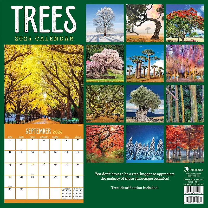 TF Publishing 2024 Trees Wall Calendar