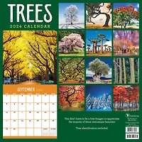 TF Publishing 2024 Trees Wall Calendar