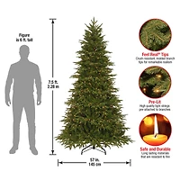 7.5ft. Pre-Lit Feel-Real® Northern Frasier Fir Artificial Christmas Tree, Clear Lights