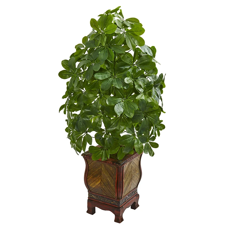 3ft. Umbrella Plant in Decorative Planter