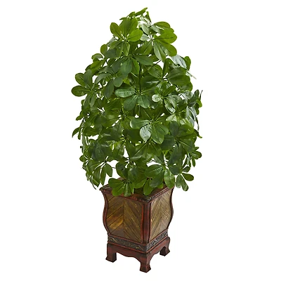 3ft. Umbrella Plant in Decorative Planter