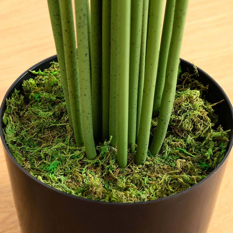 10ft. Potted Artificial Paradise Palm Tree