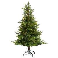5ft. Pre-Lit North Carolina Spruce Artificial Christmas Tree, Clear Lights