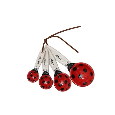 Ladybug Ceramic Measuring Spoons Set by Ashland®