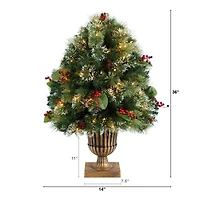 3ft. Pre-Lit Snow Tip Berries & Pinecones Artificial Christmas Plant in Urn, LED Lights