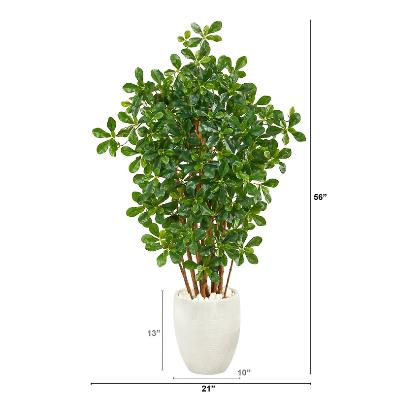 4.5ft. Black Olive Tree in White Planter