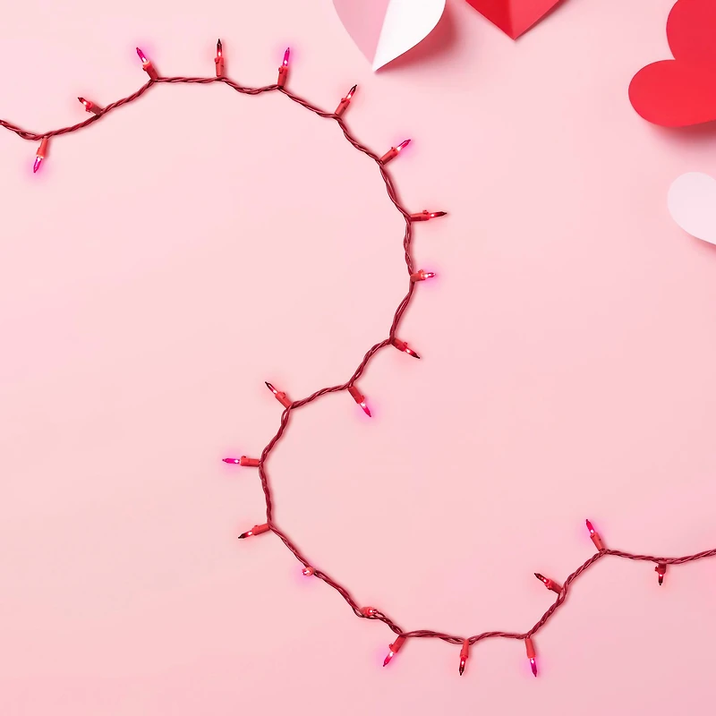 50ct Pink Mini Valentine's Day Light Set 10ft Wire