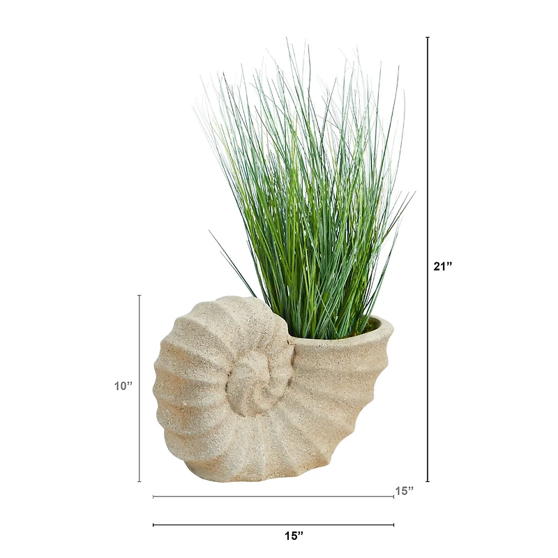 21" Onion Grass Plant in Shell-Shaped Planter