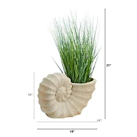 21" Onion Grass Plant in Shell-Shaped Planter