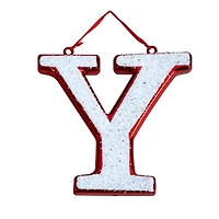 8.5" Joy Holiday Deluxe Shatterproof Ornament Set