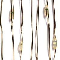 12 Pack: 40ct. Blue Silver Wire LED String Lights by Ashland®