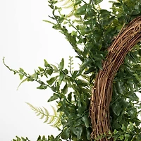 24" Green Buckler Fern & Grass Wreath