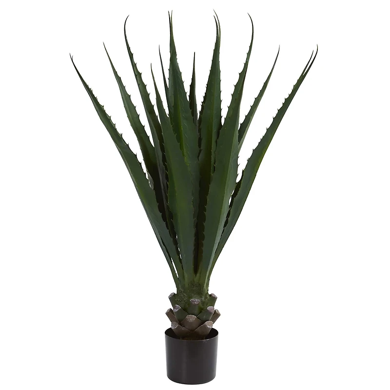 4ft. Potted Agave Plant