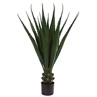 4ft. Potted Agave Plant