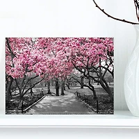 Designart - Cherry Blossoms