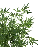 40" Natural Green Foliage Plant in Brown Seagrass Pot
