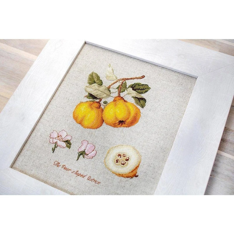 Luca-s The Pear Shaped Quince Counted Cross Stitch Kit