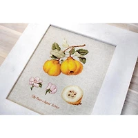 Luca-s The Pear Shaped Quince Counted Cross Stitch Kit