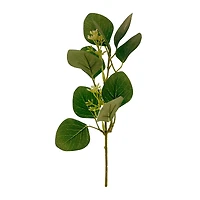 Assorted Green Eucalyptus & Berry Pick by Ashland®