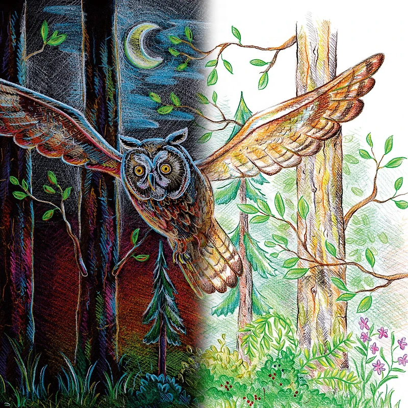 Staedtler® 12 Super Soft Colored Pencil Set