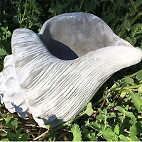 Santa's Workshop 10'' Cement Conch Planter Accent