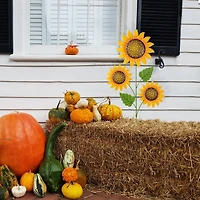 Glitzhome® 48.25" Fall Metal Sunflowers Yard Stake