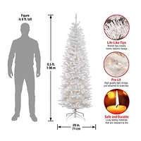 6.5 ft. Pre-Lit Kingswood™ White Fir Hinged Pencil Artificial Christmas Tree, Clear Lights