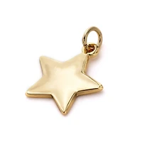 Charmalong™ 14K Gold Plated Star Charm by Bead Landing™