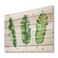Designart - Tropical Banana Leaves Set