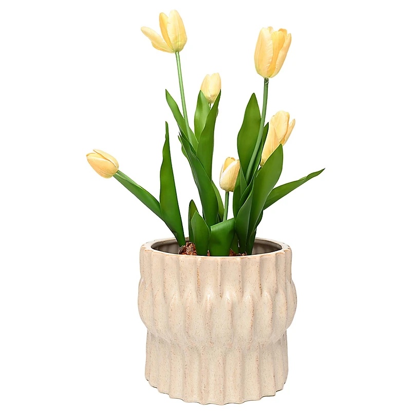 9" Tan Modern Ceramic Pot by Ashland®