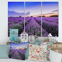 Designart - Sunrise & Dramatic Clouds Over Lavender Field II