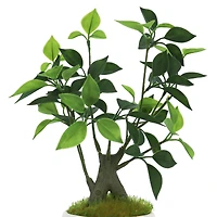 11.5" Premade Potted Bonsai Ficus by Ashland®