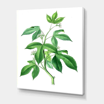 Designart - Vintage Green Leaves Plants V