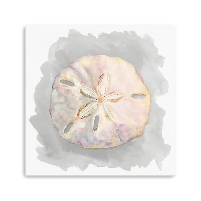 Shells On Grey IV Canvas Giclee