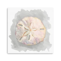 Shells On Grey IV Canvas Giclee