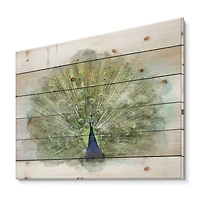 Designart - Peacock Bird