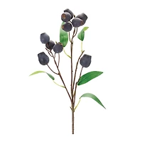 Plum Pod & Leaves Spray, 6ct.