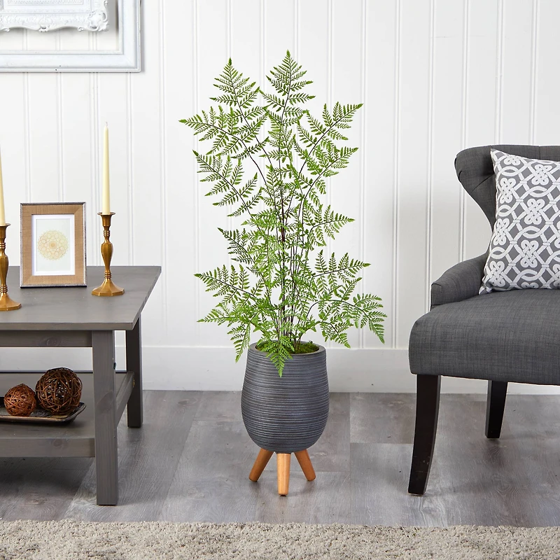 3ft. Ruffle Fern Tree in Gray Planter with Stand