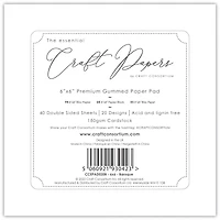 Craft Consortium Double-Sided Paper Pad 6" x 6" 40 ct. Baroque, 20 Designs