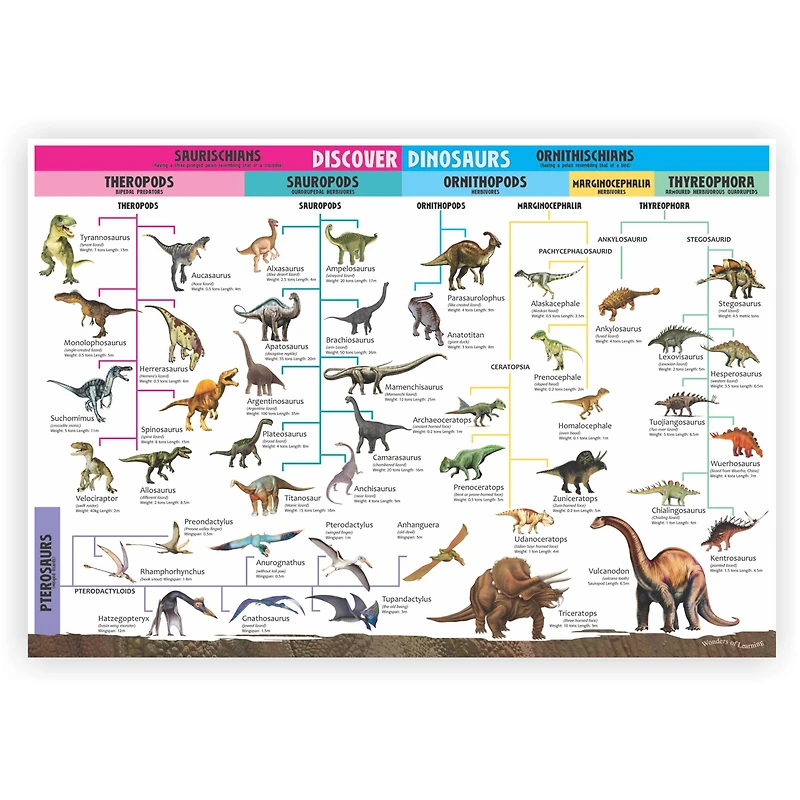 Wonders of Learning Discover Dinosaurs Educational Tin Set