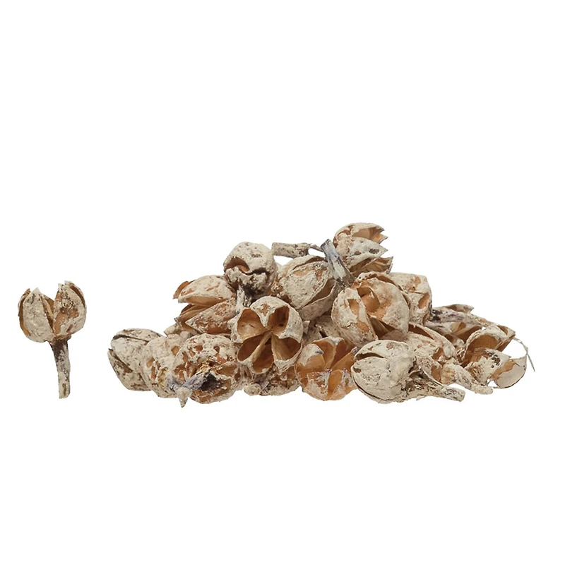 Hello Honey® 4oz. Dried Pods