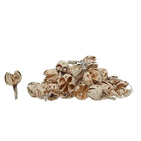 Hello Honey® 4oz. Dried Pods