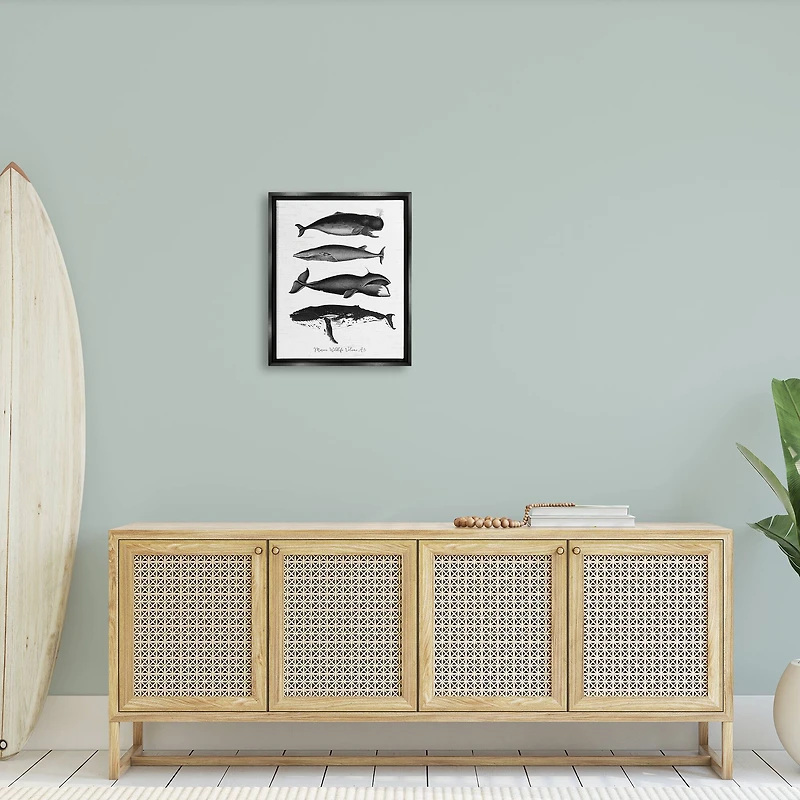 Stupell Industries Marine Wildlife Whales Drawings Diagram Framed Floater Canvas Wall Art