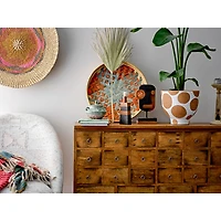 Hello Honey® 9" White & Brown Polka Dot Terra Cotta Pot