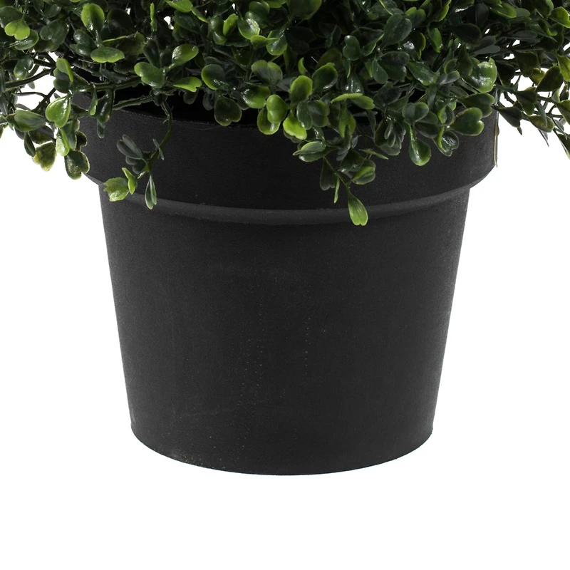 4ft. Potted Boxwood Cone