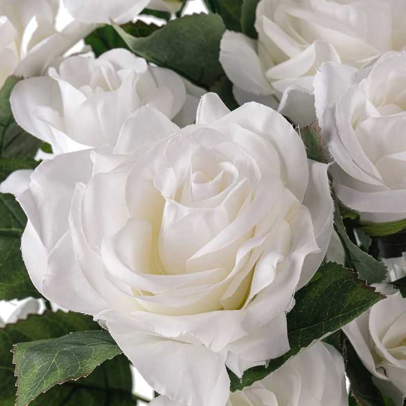 12 Pack: White Rose Bush by Ashland®