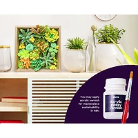 OKTO DIY Wood & Craft Energy Succulents Clay Kit
