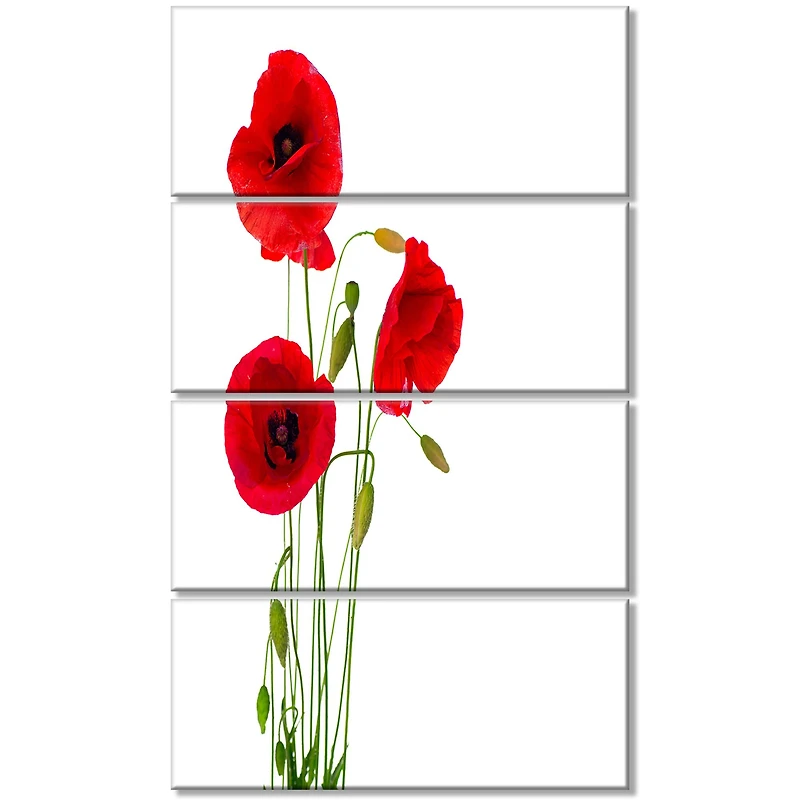 Designart - Isolated Red Poppy Flowers