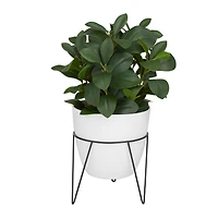 The Novogratz 17" White Contemporary Artificial Foliage