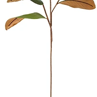 Artificial Green Magnolia Spray, 3ct.